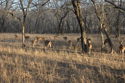 DSC_2383.JPG