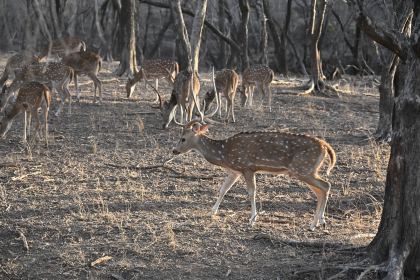 DSC_2386.JPG