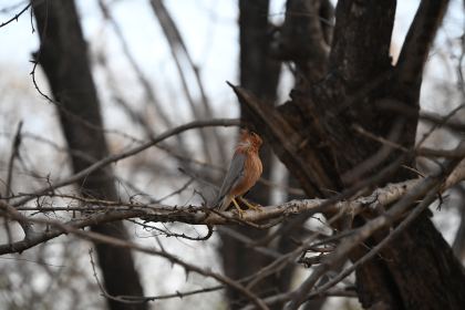 DSC_2400.JPG