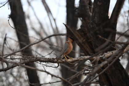 DSC_2401.JPG