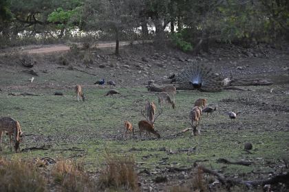 DSC_2406.JPG