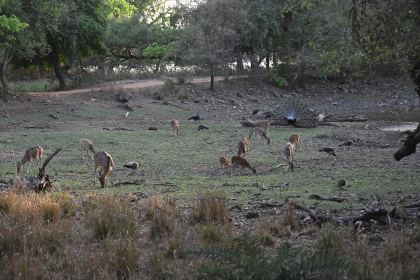 DSC_2408.JPG