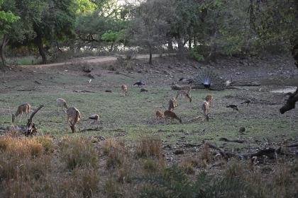 DSC_2409.JPG