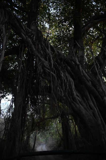 DSC_2423.JPG
