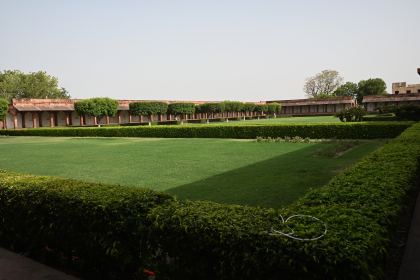 DSC_2482.JPG
