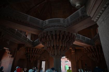 DSC_2497.JPG