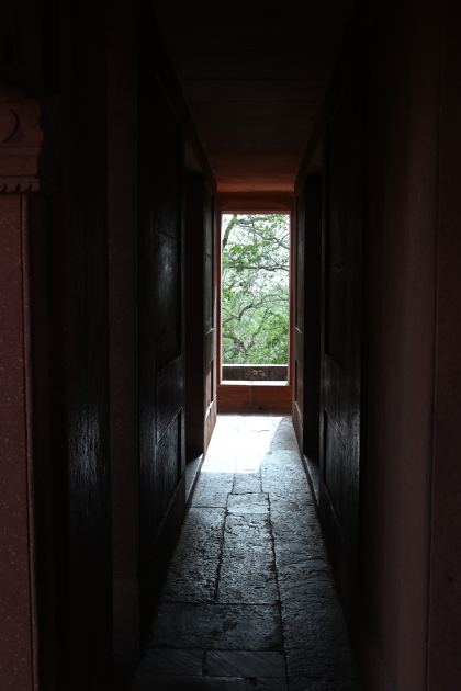 DSC_2515.JPG