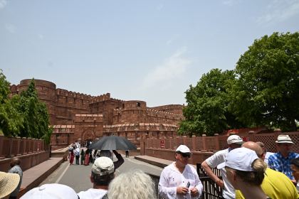 DSC_2999.JPG