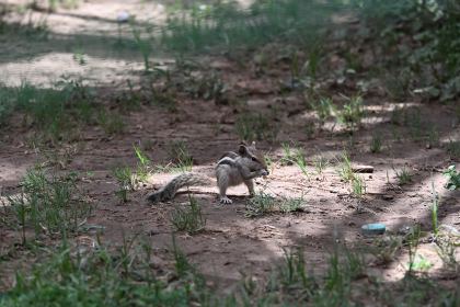 DSC_3027.JPG