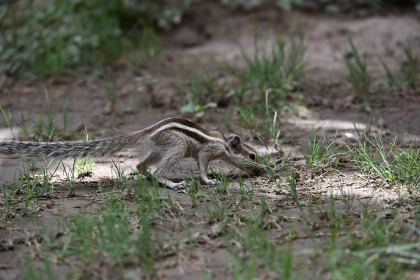 DSC_3032.JPG