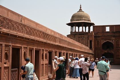 DSC_3115.JPG