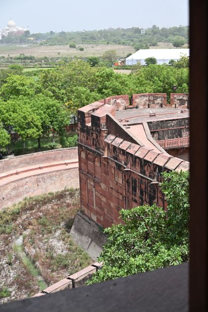 DSC_3119.JPG