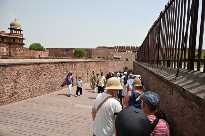 DSC_3178.JPG
