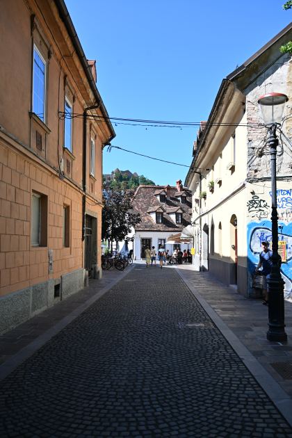 DSC_3314.JPG
