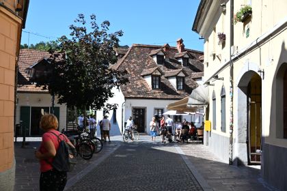 DSC_3325.JPG