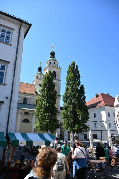 DSC_3354.JPG