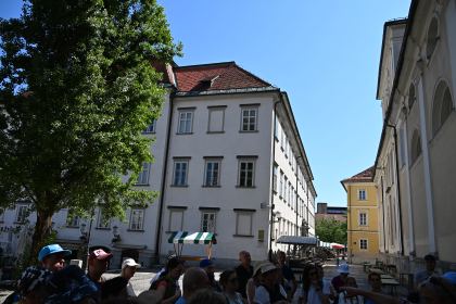 DSC_3364.JPG