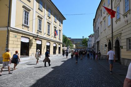 DSC_3373.JPG