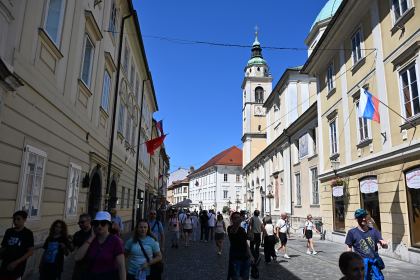 DSC_3377.JPG