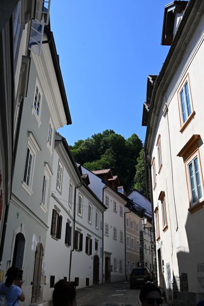 DSC_3382.JPG