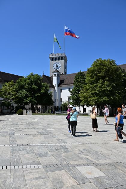 DSC_3425.JPG