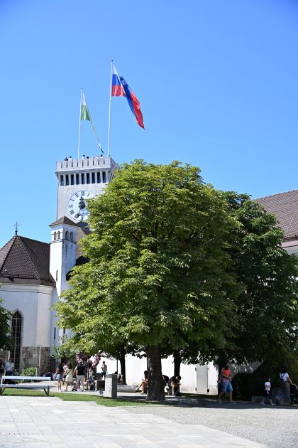 DSC_3432.JPG
