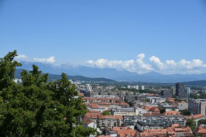 DSC_3438.JPG