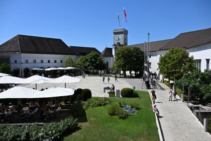DSC_3442.JPG