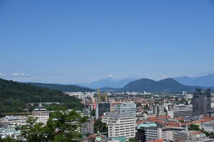 DSC_3450.JPG