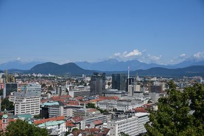 DSC_3451.JPG