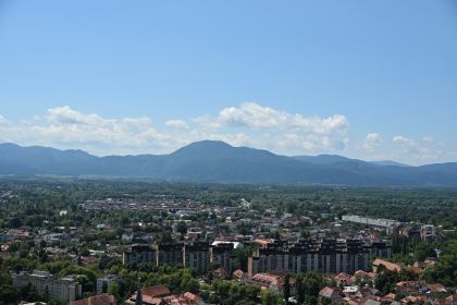 DSC_3480.JPG
