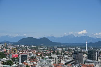 DSC_3489.JPG