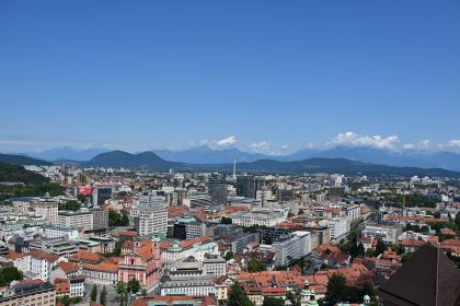 DSC_3492.JPG