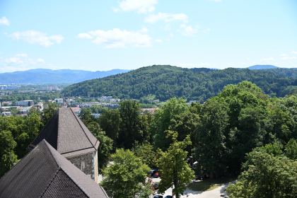 DSC_3496.JPG