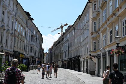 DSC_3541.JPG