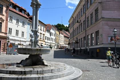 DSC_3549.JPG