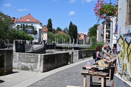 DSC_3556.JPG