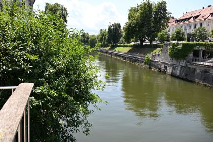 DSC_3559.JPG