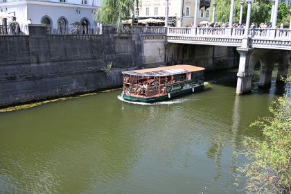 DSC_3563.JPG