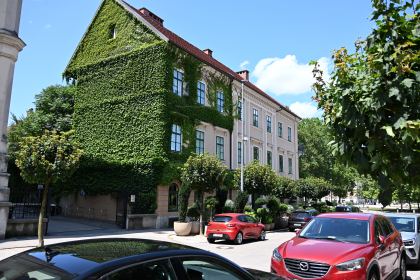 DSC_3579.JPG