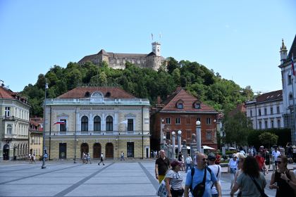 DSC_3582.JPG