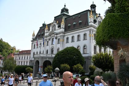 DSC_3585.JPG