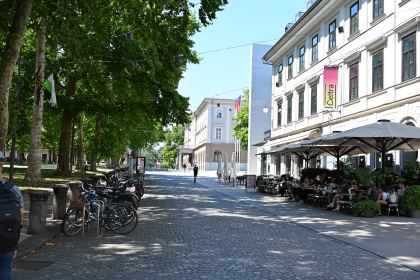 DSC_3595.JPG