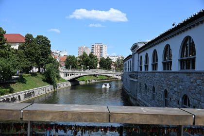 DSC_3614.JPG