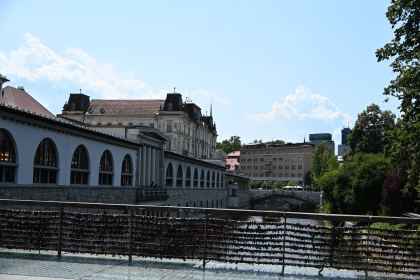 DSC_3617.JPG