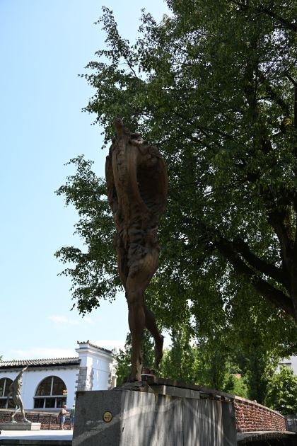 DSC_3622.JPG