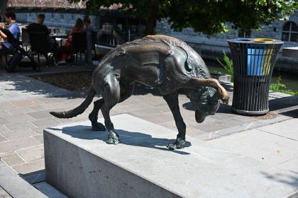 DSC_3623.JPG