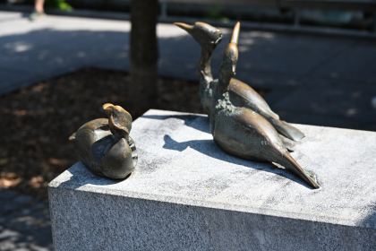 DSC_3625.JPG