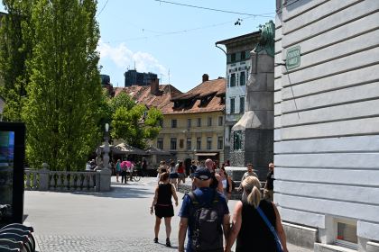 DSC_3630.JPG