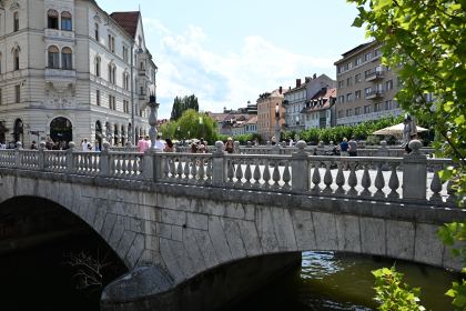 DSC_3633.JPG